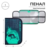 Пенал школьный твердый, 130 х 210 х 40 мм, 2 откидные планки, тканевый, Calligrata, Content «Cкейт»