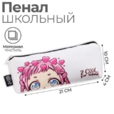 Пенал-косметичка школьныйкосметичка, «Анимешка», 1 отделение, 100 х 210 х 40 мм мягкий