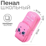 Пенал-футляр школьный 100 х 220 мм, с карманом Котик