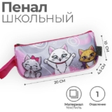 Пенал-косметичка школьный Котики, объемный, с ручкой
