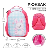 Рюкзак школьный, 37 х 27 х 16 см, эргономичная спинка, Calligrata Б «Зайка»