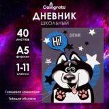 Дневник школьный 1-11 класс