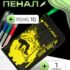 Пенал-косметичка школьный, 1 отделение, плоский, 108 х 205 мм, Calligrata, «Взгляд»