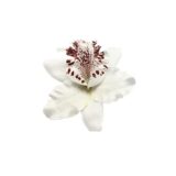 Заколка для волос Sugarbay, полиэстер, богемный стиль