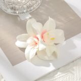 AWAYTR Бохо заколки для волос